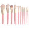 Professional Makeup Brush Set: 10pcs With Cosmetic Bag