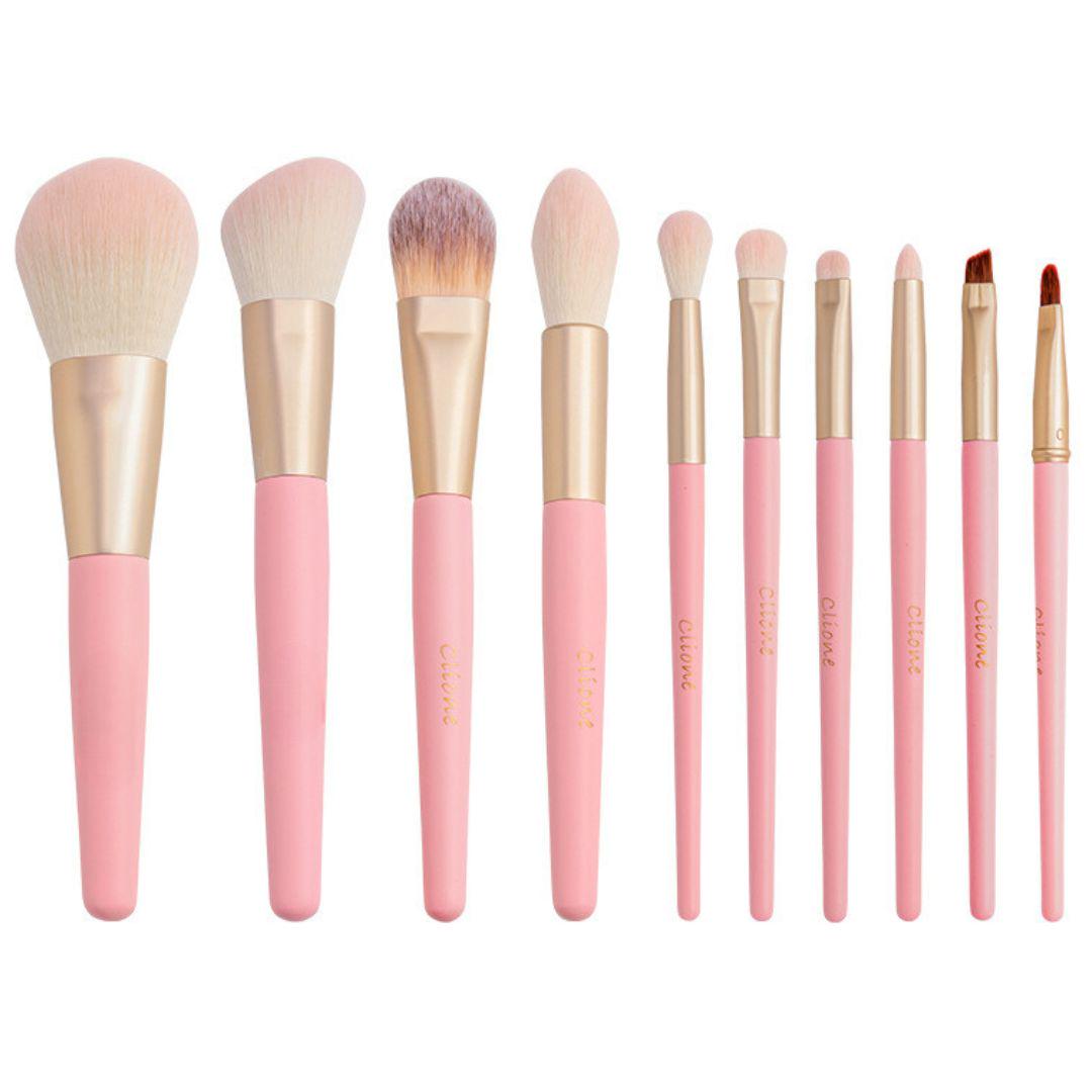 Professional Makeup Brush Set: 10pcs With Cosmetic Bag Professional Makeup Brush Set: 10pcs With Cosmetic Bag