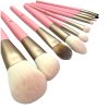 Professional Makeup Brush Set: 10pcs With Cosmetic Bag