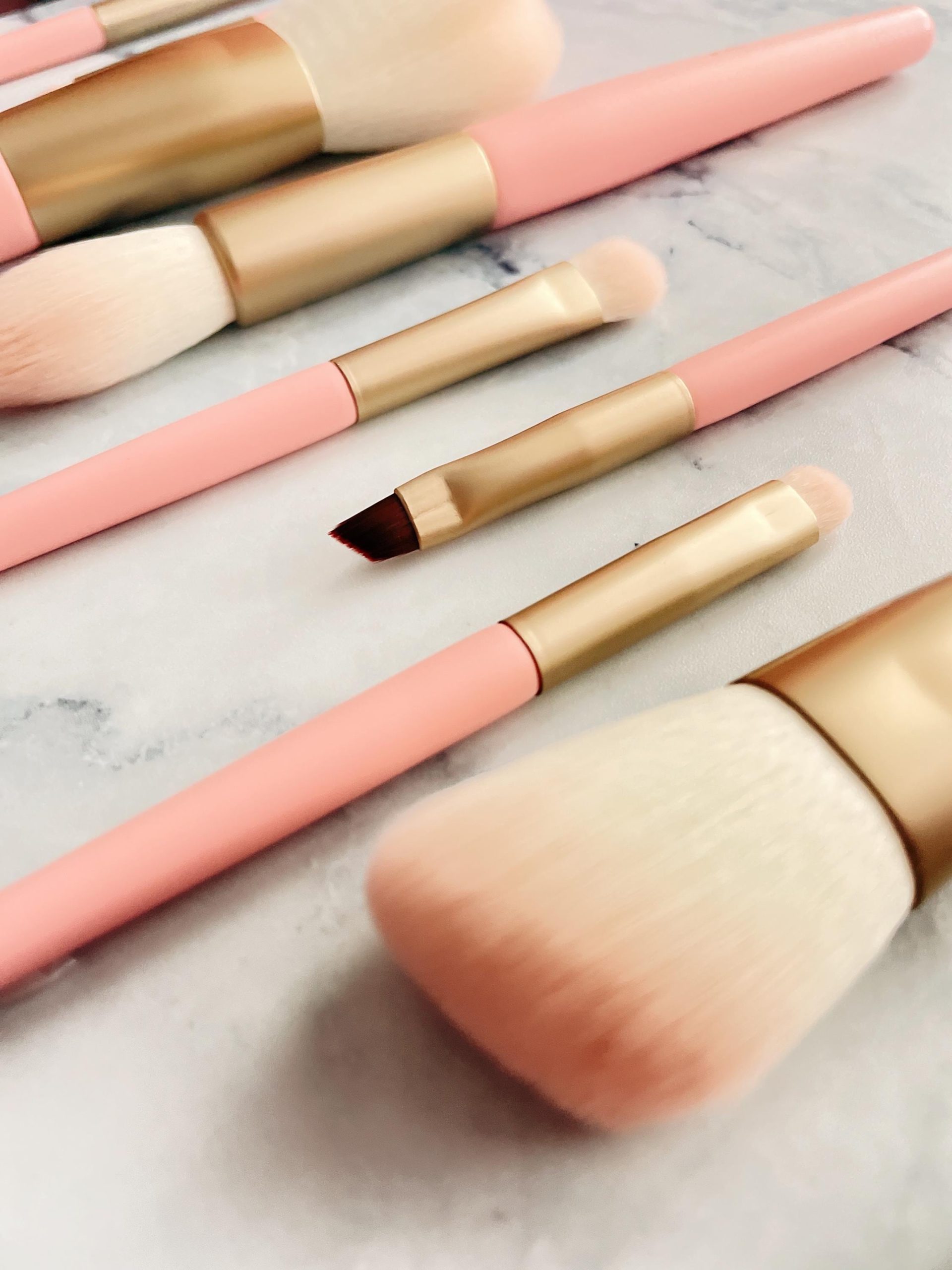 Professional Makeup Brush Set: 10pcs With Cosmetic Bag Professional Makeup Brush Set: 10pcs With Cosmetic Bag