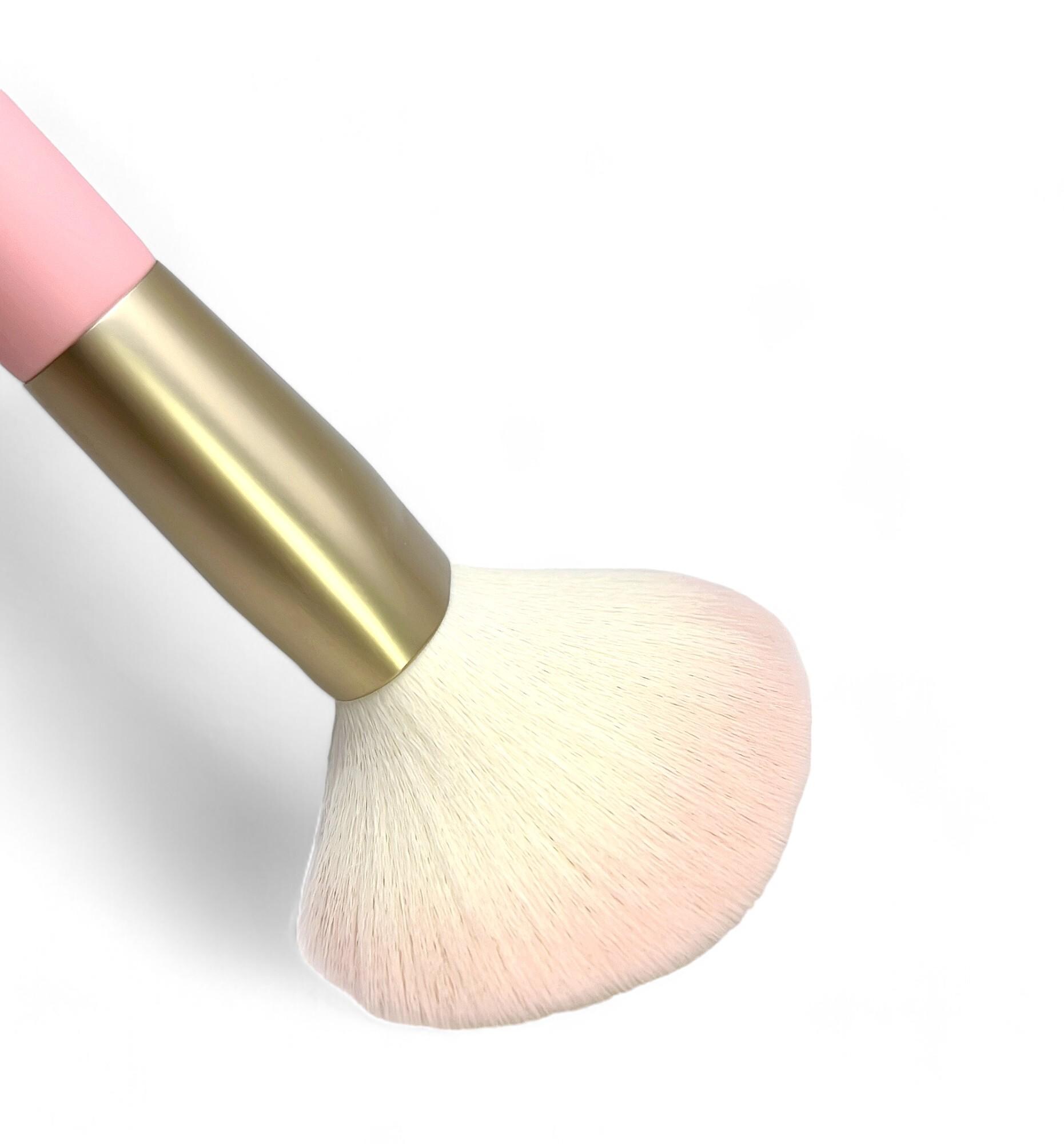 Professional Makeup Brush Set: 10pcs With Cosmetic Bag Professional Makeup Brush Set: 10pcs With Cosmetic Bag