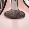 5 Piece Makeup Brush Set With Travel Pouch