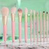 Professional Makeup Brush Set: 10pcs With Cosmetic Bag