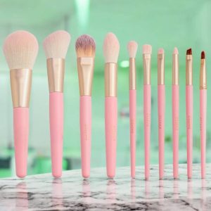 Professional Makeup Brush Set: 10pcs With Cosmetic Bag