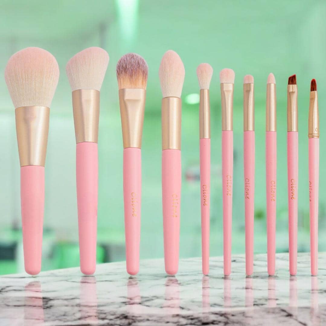 Professional Makeup Brush Set: 10pcs With Cosmetic Bag Professional Makeup Brush Set: 10pcs With Cosmetic Bag
